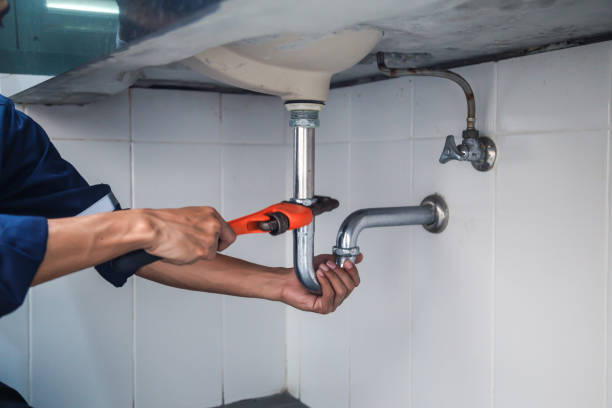 Best Affordable Plumbing Services  in Kingsley, MI